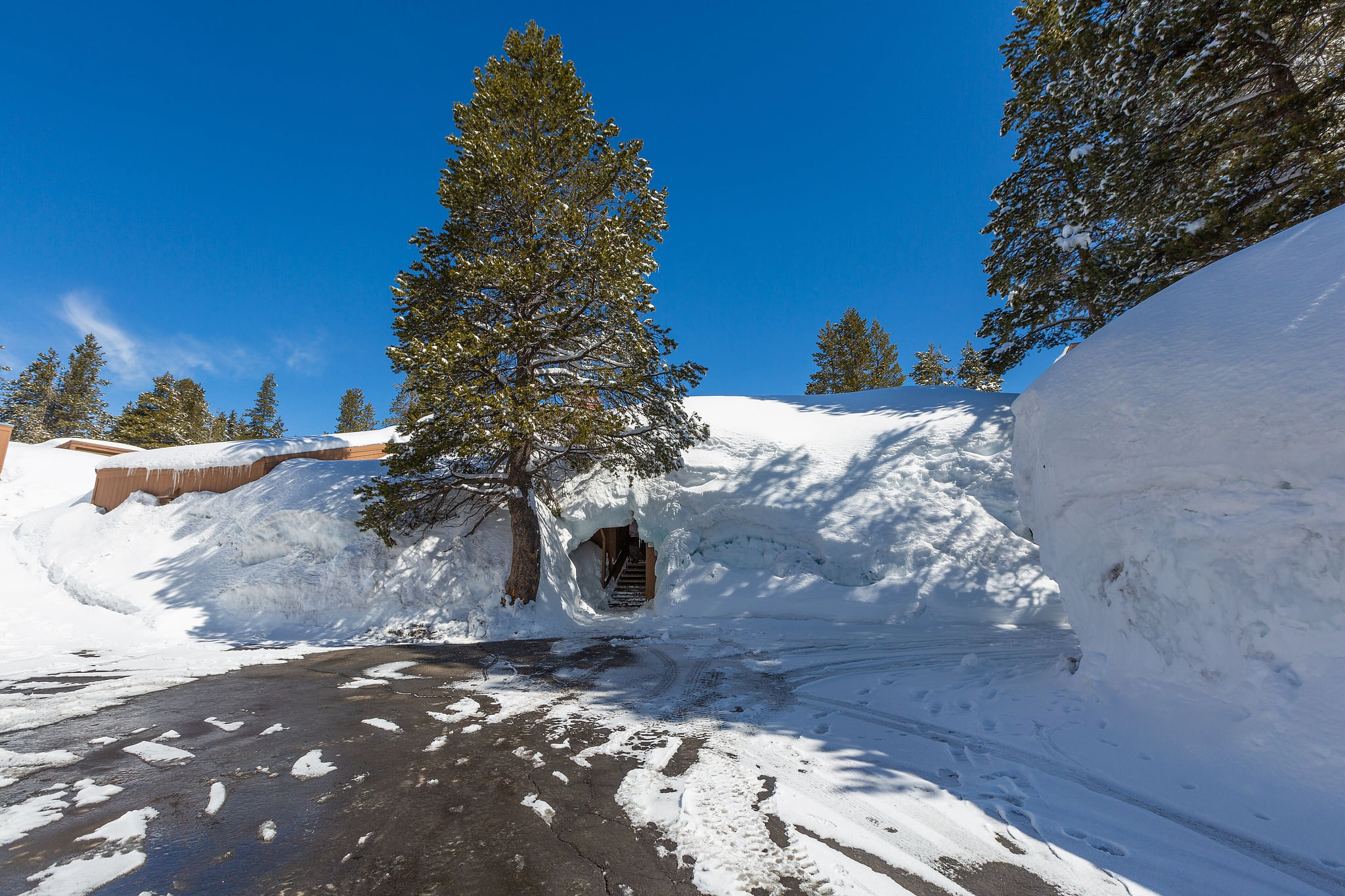Bear Valley | Peaceful Mtns | Bear & Alpine Lake