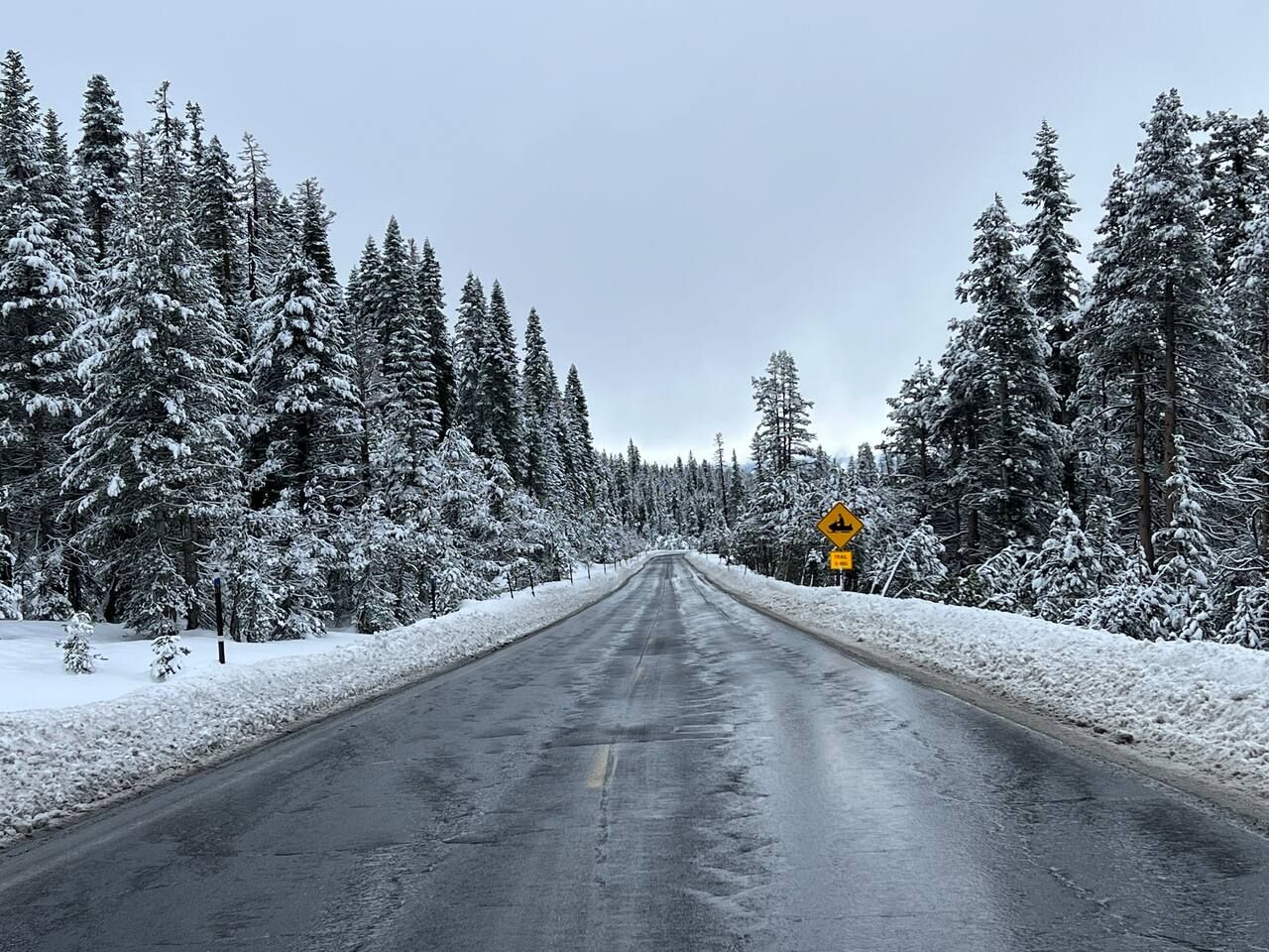 Bear Valley | Peaceful Mtns | Bear & Alpine Lake