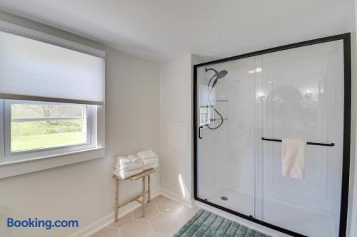 Downstairs bathroom shower