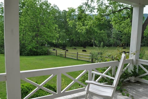 Historic Farmhouse - Jump Mountain Views Lexington