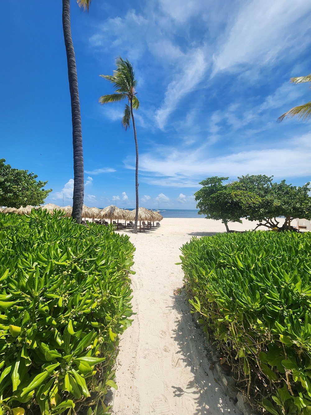 Steps from the beach or pool in Punta Cana