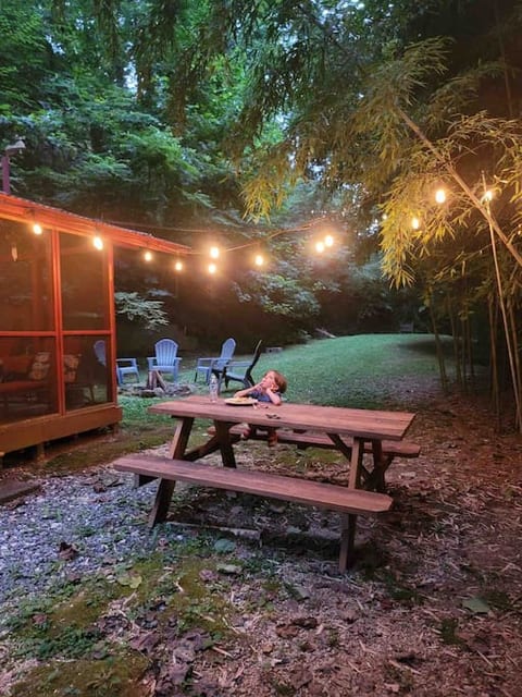 The Cardinal Cabin, downtown Lake Lure, 2BR