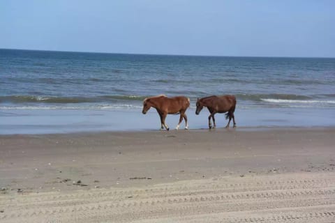 Beach view