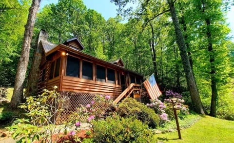 The Mountain Forager Cabin