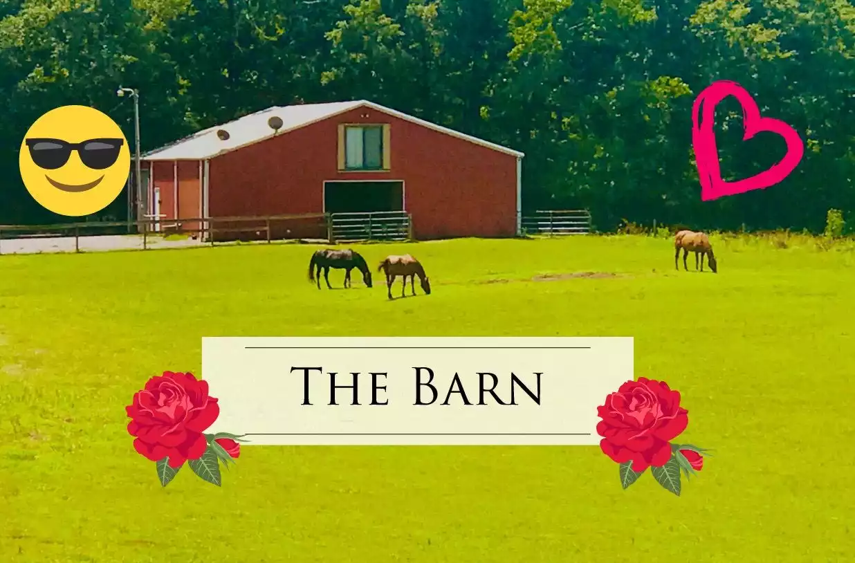 The Barn - Hollywood The Barn - Hollywood