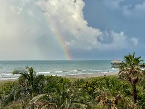 Michelina #201 Oceanview 3/3 Luxury Condo