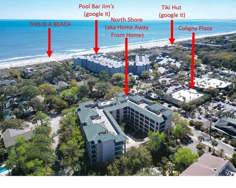 Near Beach & Coligny Plaza, Pool, Hot Tub, Patio