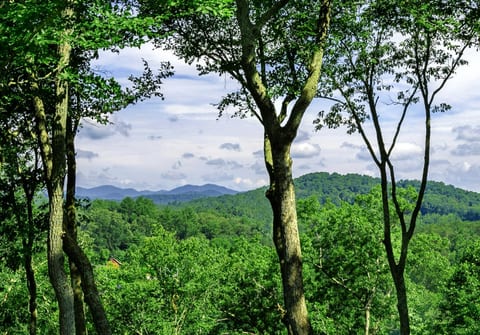 The long range mountain views from the swing on the rear porch are breathtaking!