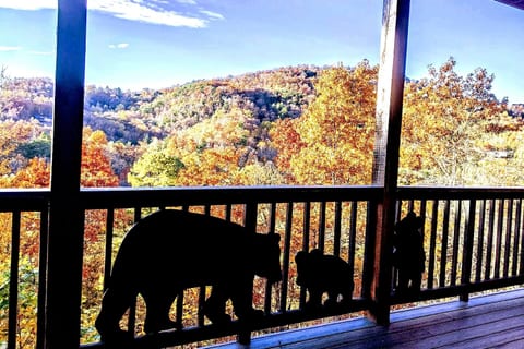 Fall Colors Incredible View
