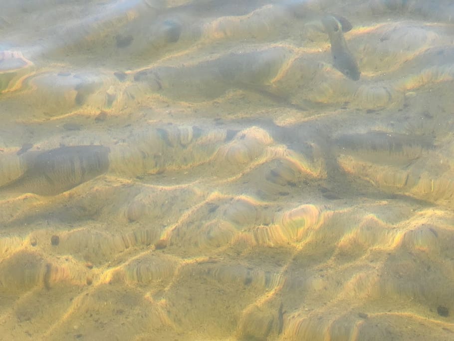 Crystal clear, sandy frontage...you can even see the fish! - Incredible Lakefront View at Loon Landing - Minocqua