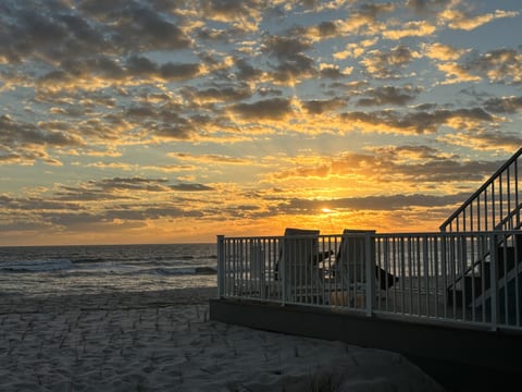 Vi La Mar