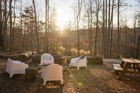 Luxe Cabin Getaway•BlueRidge•Vineyards•HotTub