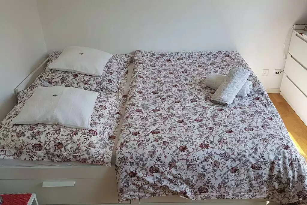 Room 2, double bed  (1.6 metres wide) - 4 rooms, 2 kitchens, 2 bathrooms! - Heidelberg