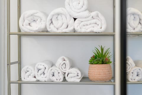 Upscale Studio Close to Balboa Park & Zoo