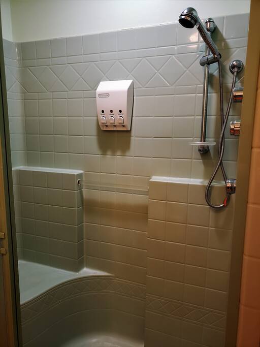 Multi jetted shower, two jets along back wall (not seen).