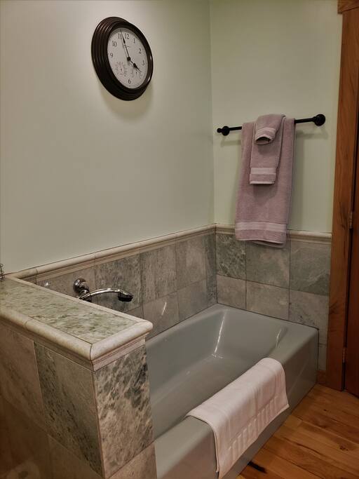 Master bathtub