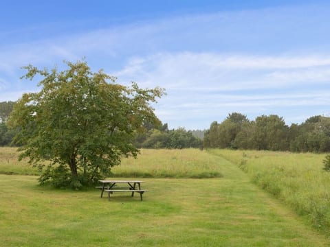 Place