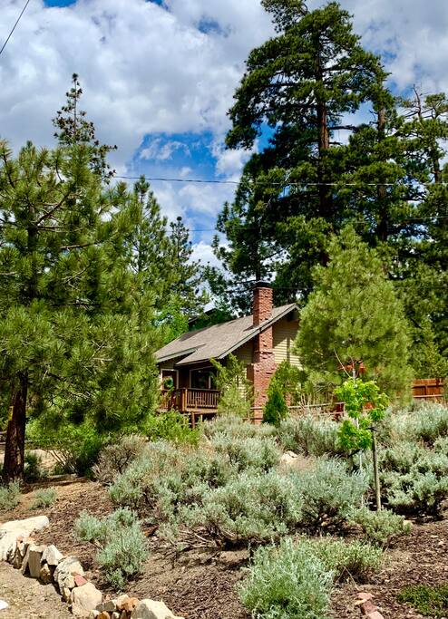 Near Big Bear Lake • Fenced Lrg Yard • Family Fun
