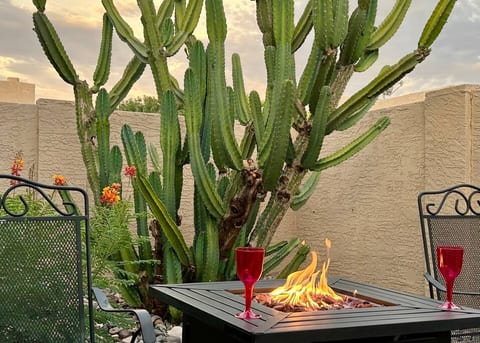 There's no better way to enjoy our native desert cacti then by the fire pit!