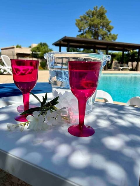 Plastic ice bucket & stemware for your beverage of choice.