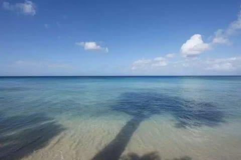High Trees - Beach Front