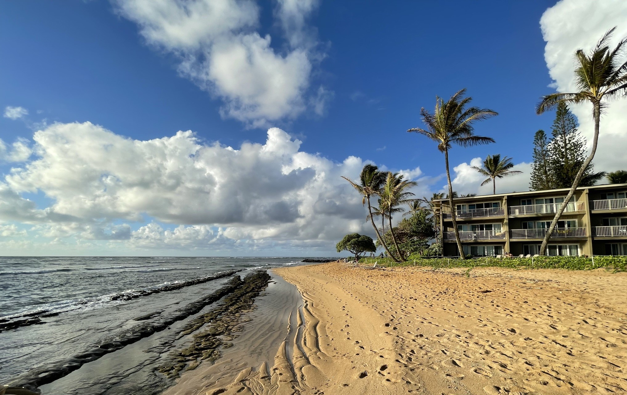 coconut-coast-studio-kauai/