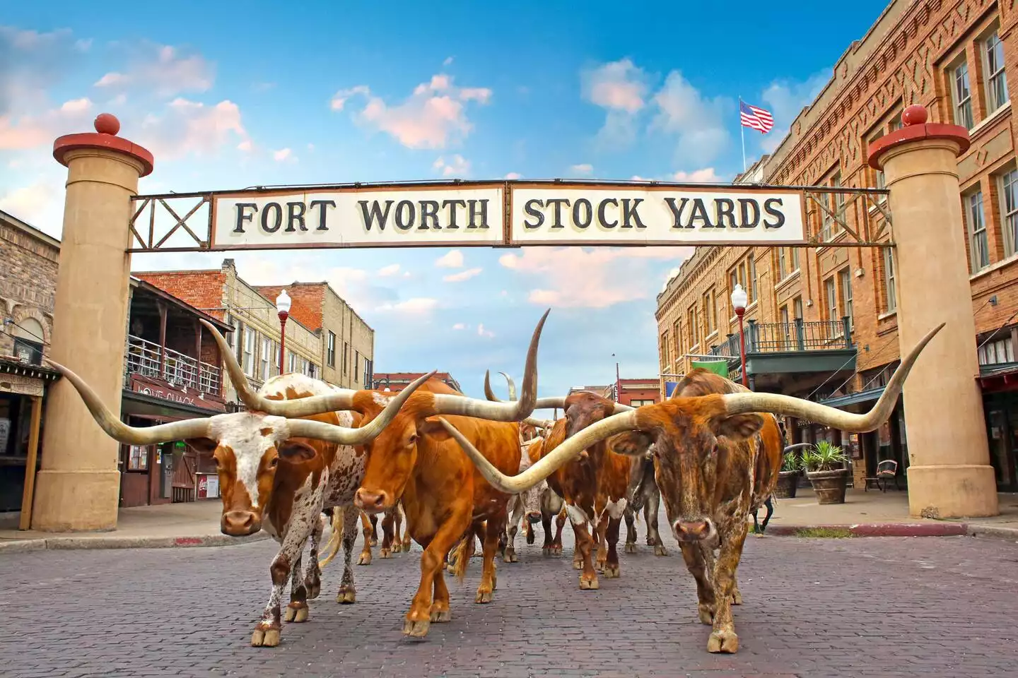 Fort Worth Stock Yards - 25 minutes away Fort Worth Stock Yards - 25 minutes away - The Birdhouse - Keller