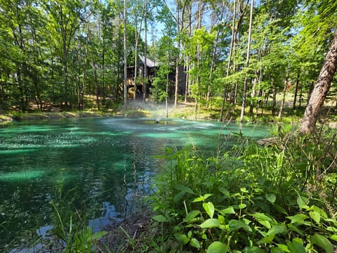 Koi Pond and the Back of the Cabin