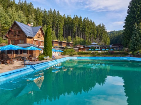 Luxe Timber Lodge & Pet Retreat