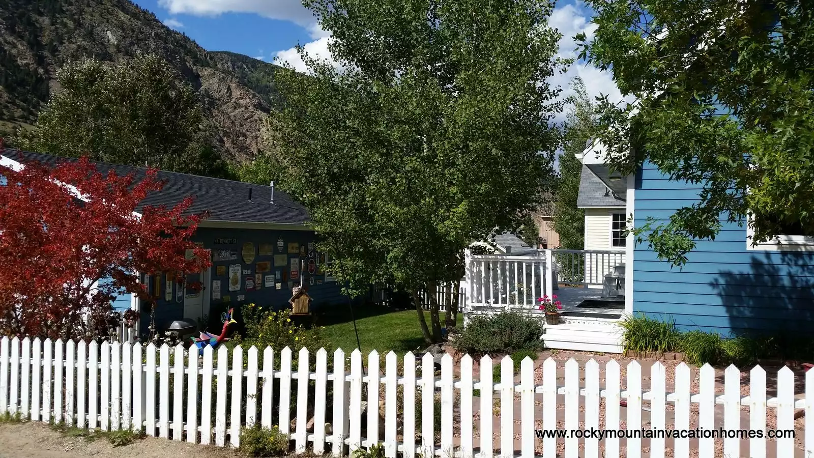 Backyard from the street