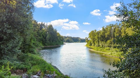The view: a quiet stretch of river, herons, and open sky.
