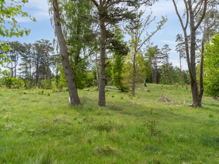 rami-2km-from-the-sea/