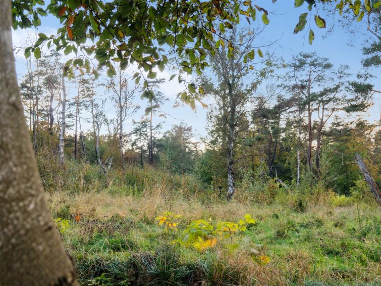 rami-2km-from-the-sea/