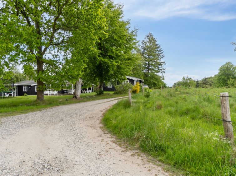 rami-2km-from-the-sea/