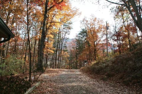 Tennessee Southern Belle Cabin