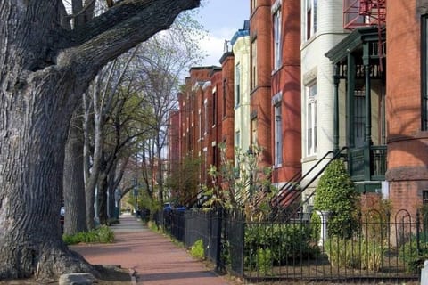 Our neighborhood.