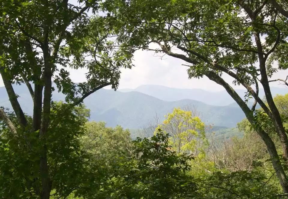 Summer views - Eagle's Lookout at Wintergreen Resort - Wintergreen Resort