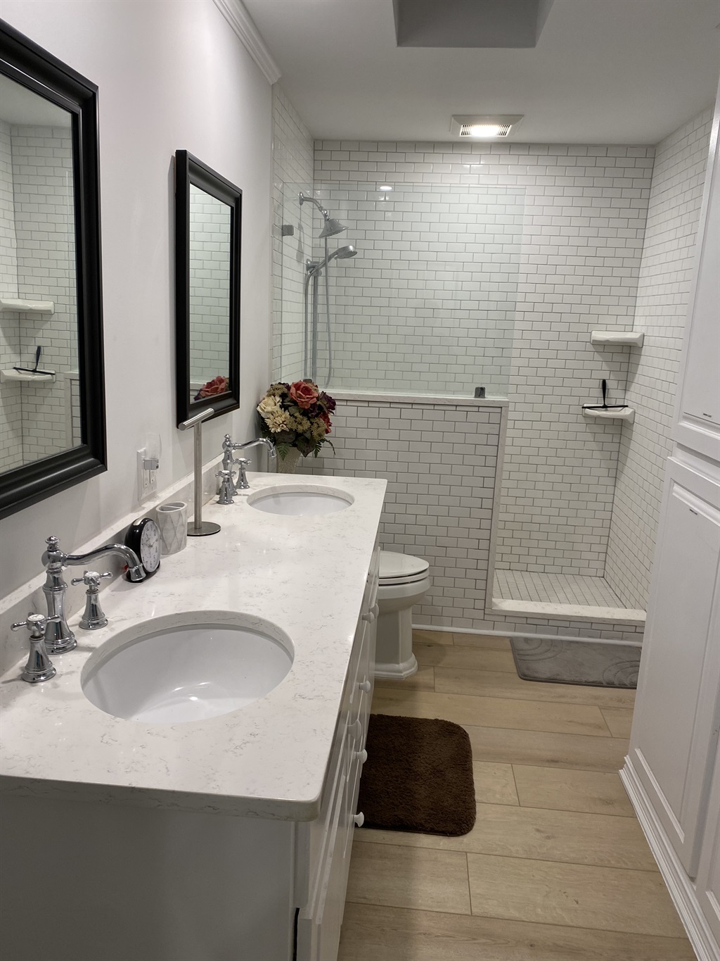 Main bathroom with skylight and screwed in hand bar