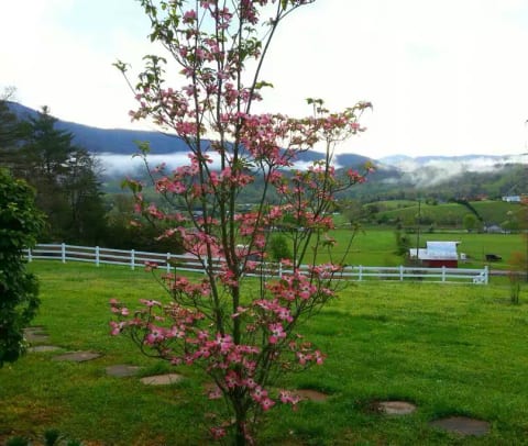 Breathtaking views from our property!