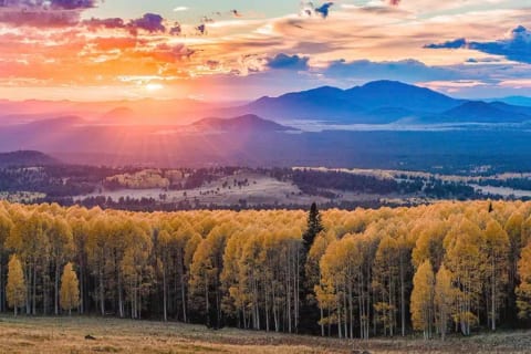 Fall is an amazing, beautiful time of year to spend some time in northern AZ