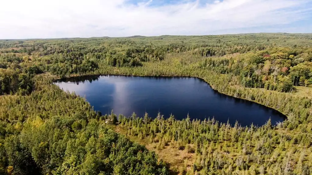 Aerial view of the private back lake. - Secluded Getaway - Birchwood