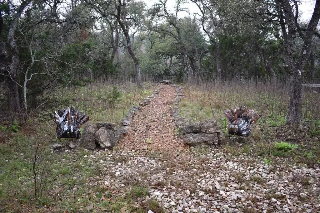 Walking trail to an observation blind behind the barn area. - GWR-Private-AmazingHilltopView-HotTub-FirePit-Pool - Fredericksburg