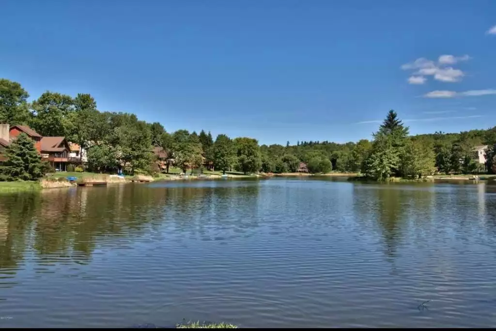 Lark Lodge - Poconos chalet near lake, pool, ski - Lake Ariel
