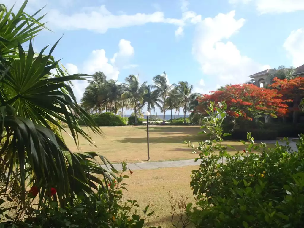 You can see the courtyard, beach and the ocean while relaxing on the patio. - Dolphin's Paradise at Pelican Cove - Christiansted