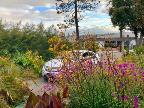 Parking is easy on our driveway
“My husband and I stayed here just as Spring bloomed, and this place was a perfect spot to enjoy the weather! Also there are stellar city views just sitting on the porch. Hope to stay again soon!” ~ Holly, May 2019