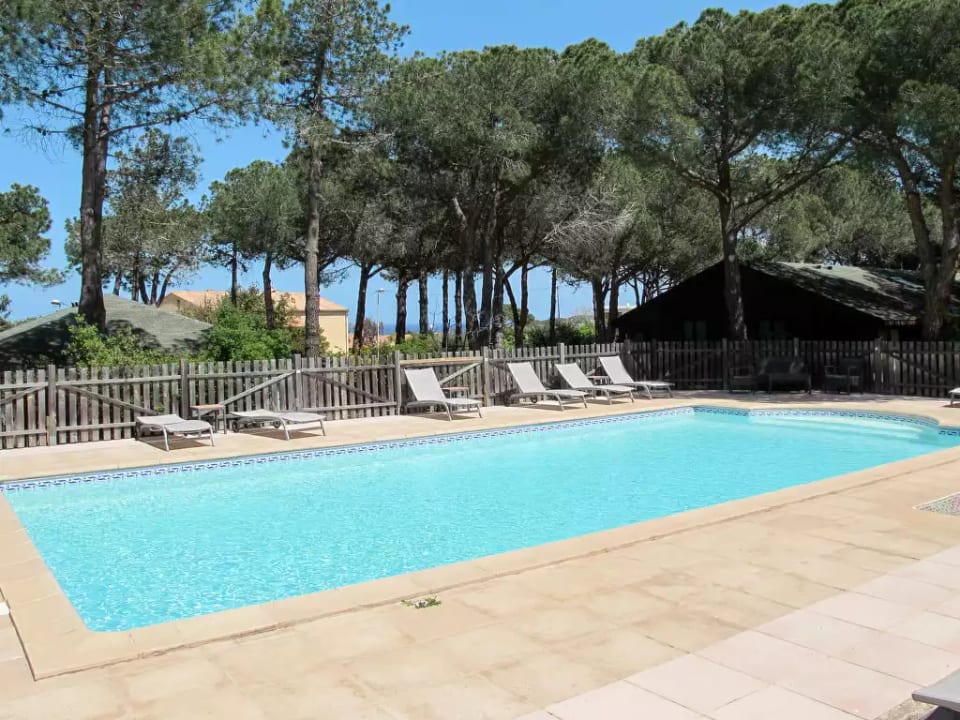 Tramariccia - Calvi