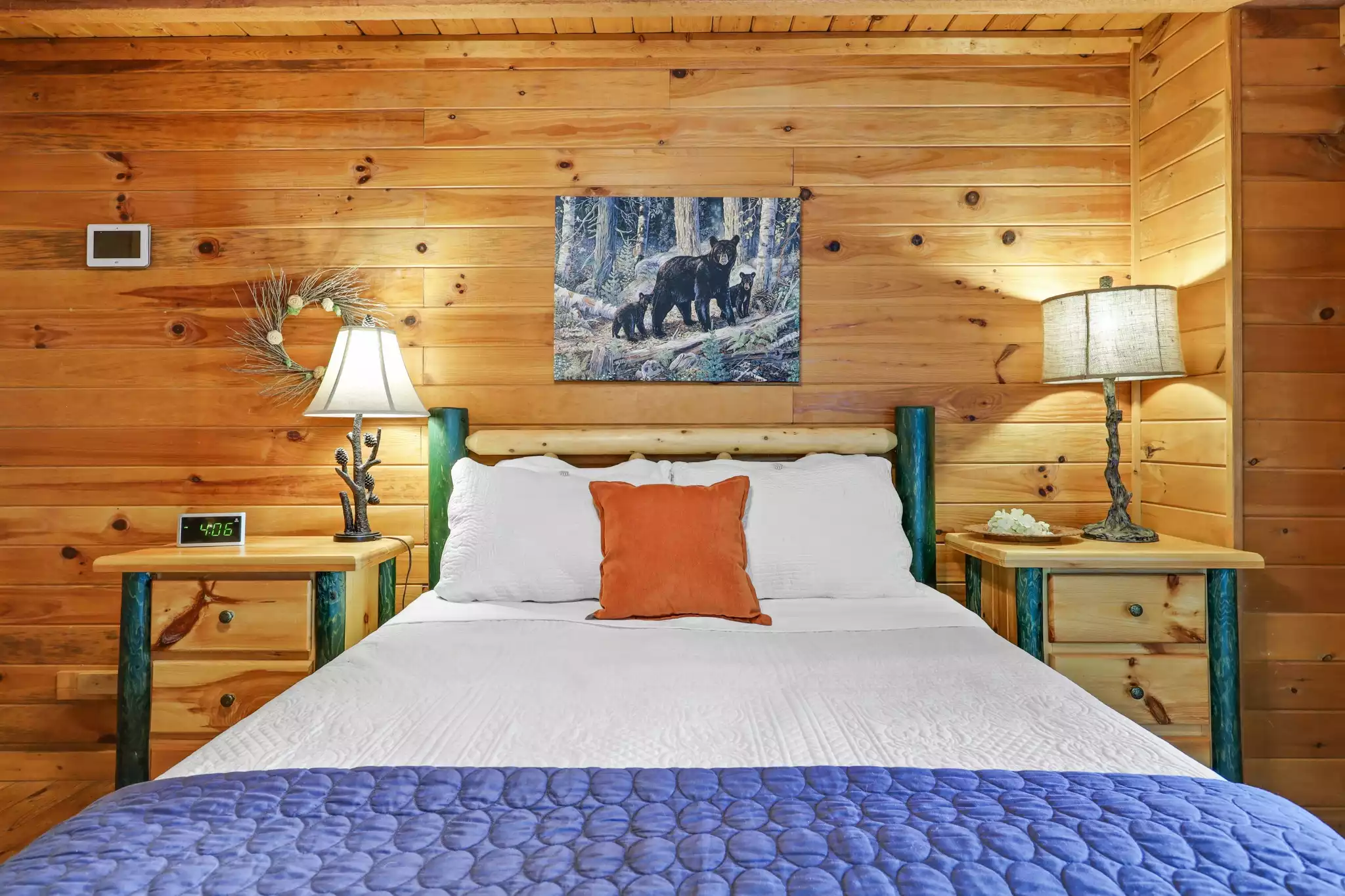 The Owl's Nest - Ellijay