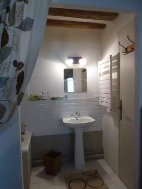 Loire Riverside Cottage near Saumur