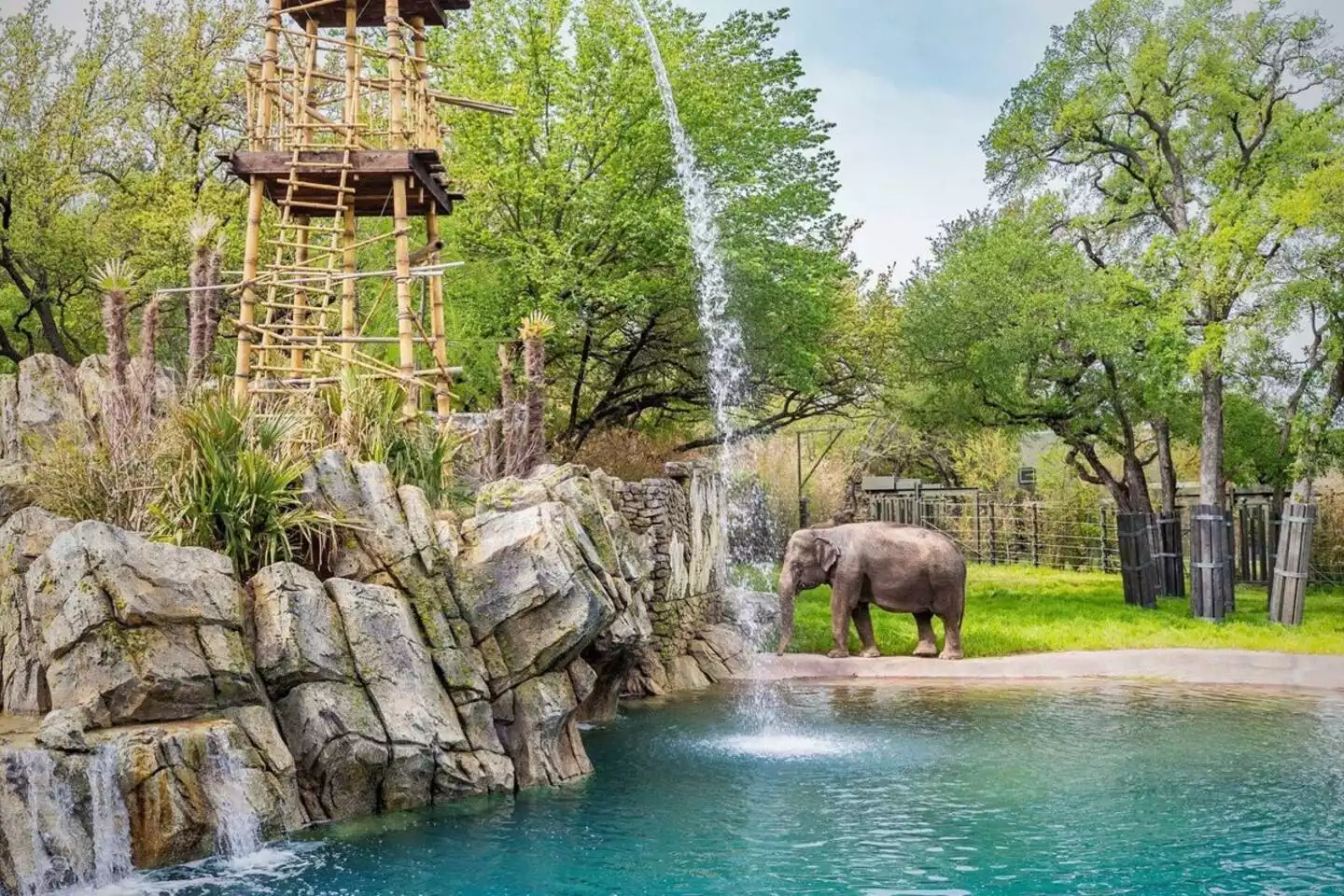 Fort Worth Zoo - 35 minutes away Fort Worth Zoo - 35 minutes away - The Birdhouse - Keller
