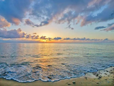Sandalo - Gibbs Beach